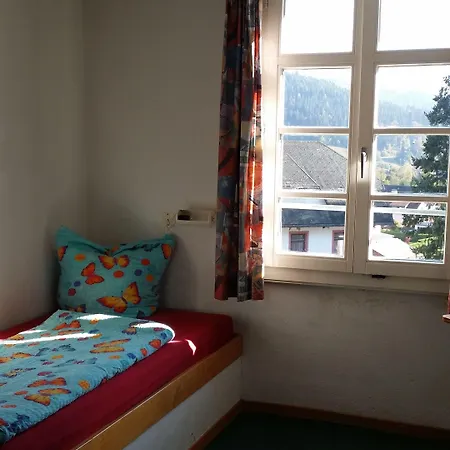 Hotel Europaeisches Gaeste- Und Seminarhaus Todtmoos